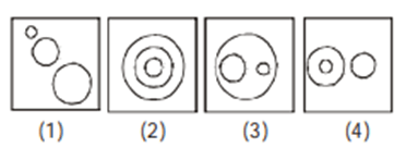 Venn Diagram Questions with Answers For Reasoning Venn Diagram Questions with Answers For Reasoning